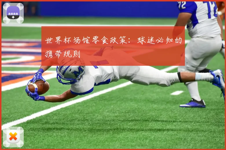 世界杯场馆零食政策:球迷必知的携带规则