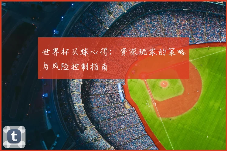 世界杯买球心得：资深玩家的策略与风险控制指南