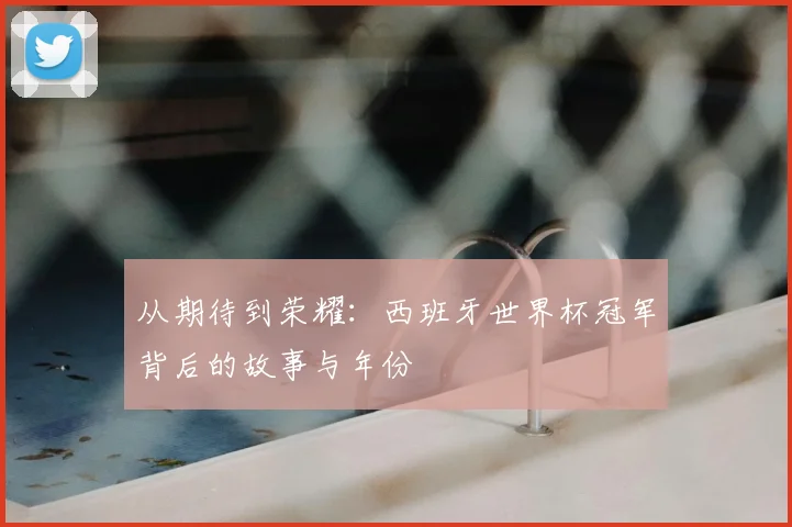 从期待到荣耀：西班牙世界杯冠军背后的故事与年份