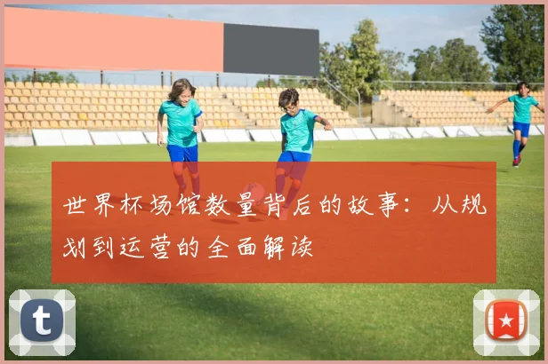 世界杯场馆数量背后的故事：从规划到运营的全面解读