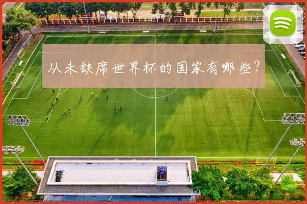 从未缺席世界杯的国家有哪些？