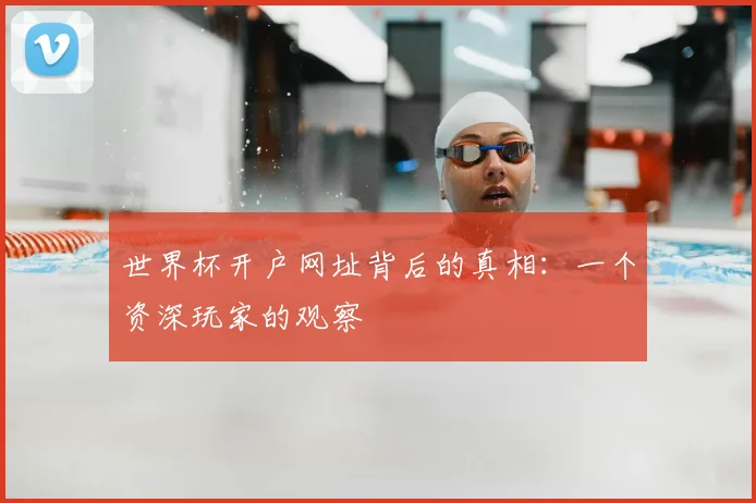 世界杯开户网址背后的真相：一个资深玩家的观察