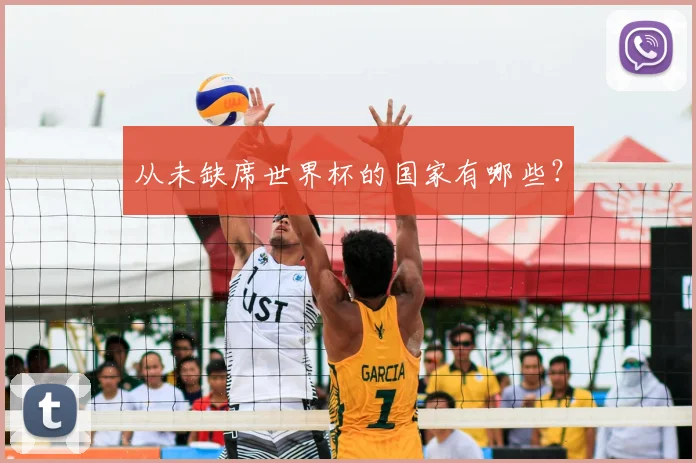 从未缺席世界杯的国家有哪些？